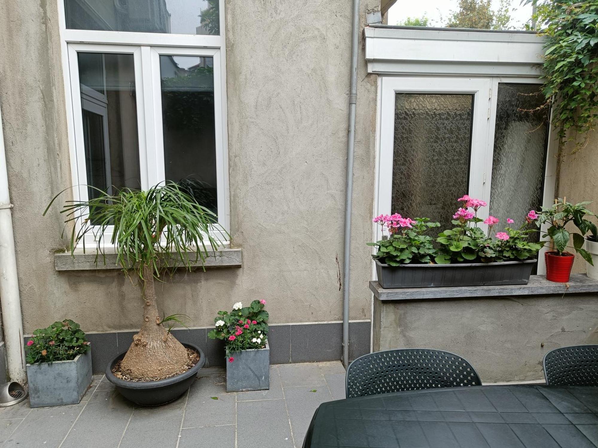 The Brussels-Laken Appartement Exteriör bild
